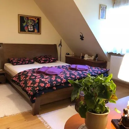 Willa Nad Popradem B&B