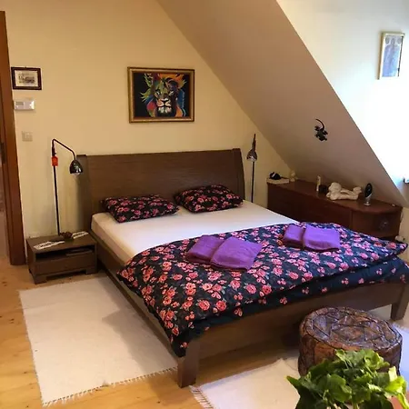 Willa Nad Popradem B&B *