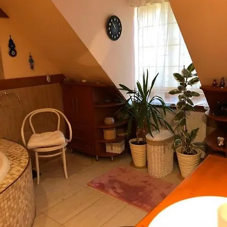 Willa Nad Popradem B&B Piwniczna-Zdroj